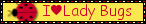 banner 121