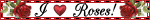 banner 14