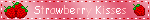 banner 30