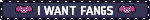 banner 41